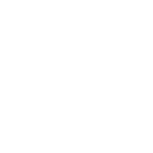 Icon Depilacja Bikini