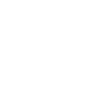 Icon Depulacja Lydek