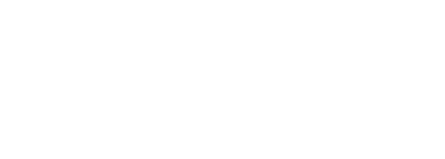 Styleye Logo
